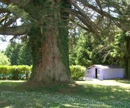 فندق De La Bruyere 2*